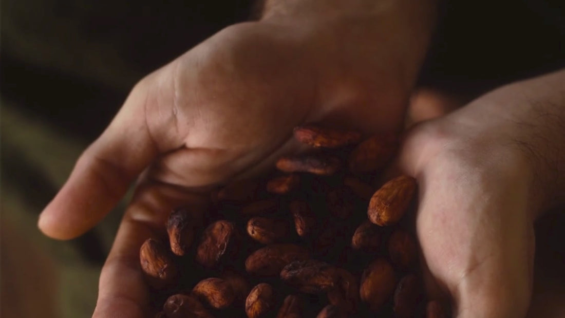 cacao ceremonial 100% puro Cor de Cacao, envío en España y Europa